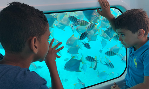 Semi-Submarine Reef Explorer – See the Underwater World Without Getting Wet!