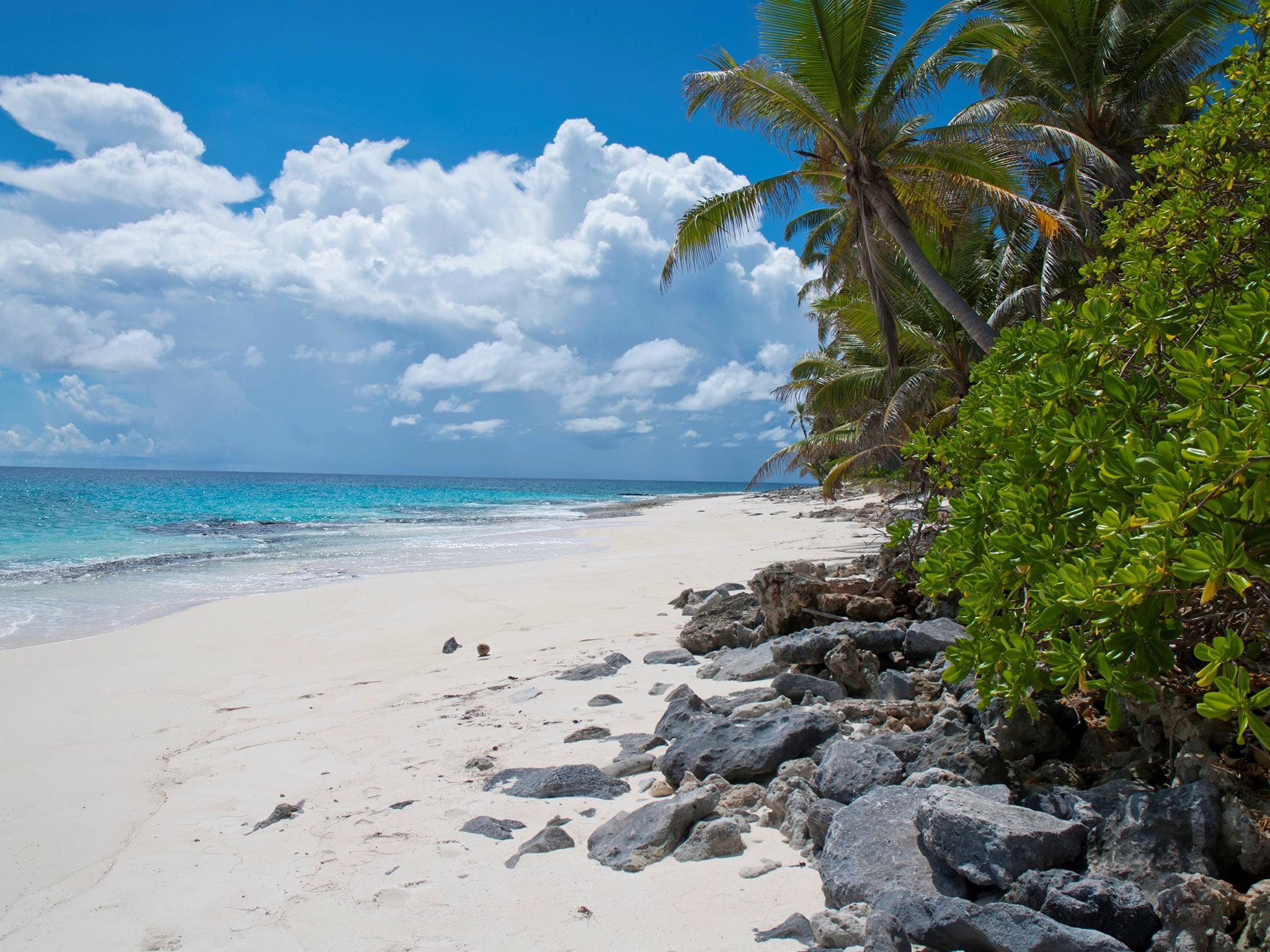 West Beach